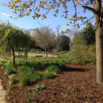 Maintenance of Old English Garden in Victoria Park By Bow Miantenance and Landscaping