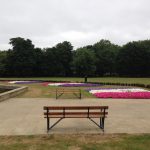 Planting beds done by Bow Maintenance and Landscaping after the olympics in Burdett Coutts in Victoria park