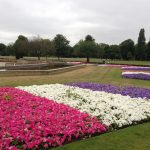 Planting beds done by Bow Maintenance and Landscaping after the olympics in Burdett Coutts in Victoria park