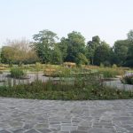 Maintenance of Old English Garden in Victoria Park By Bow Miantenance and Landscaping