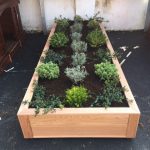 Hand made planters for Cubitt Town School, created by Bow Maintenance and Landscaping. Soil and plants also provided and planted by Bow Maintenance and Landscaping