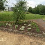 Planting and maintenance of grass area carried out by Bow Maintenance and Landscaping.