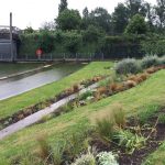 Planting and maintenance carried out by Bow Maintenance and Landscaping.