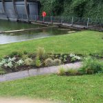 Planting and maintenance carried out by Bow Maintenance and Landscaping.