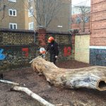 Complete removal of tree and construction of play equipment at Chisenhale School in East London, commissioned by LBTH