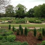 Maintenance of Old English Garden in Victoria Park By Bow Miantenance and Landscaping