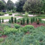 Maintenance of Old English Garden in Victoria Park By Bow Miantenance and Landscaping