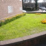 Planting and maintenance of grass area carried out by Bow Maintenance and Landscaping.