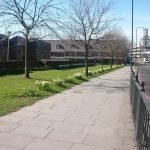 Planting and maintenance of grass area carried out by Bow Maintenance and Landscaping.